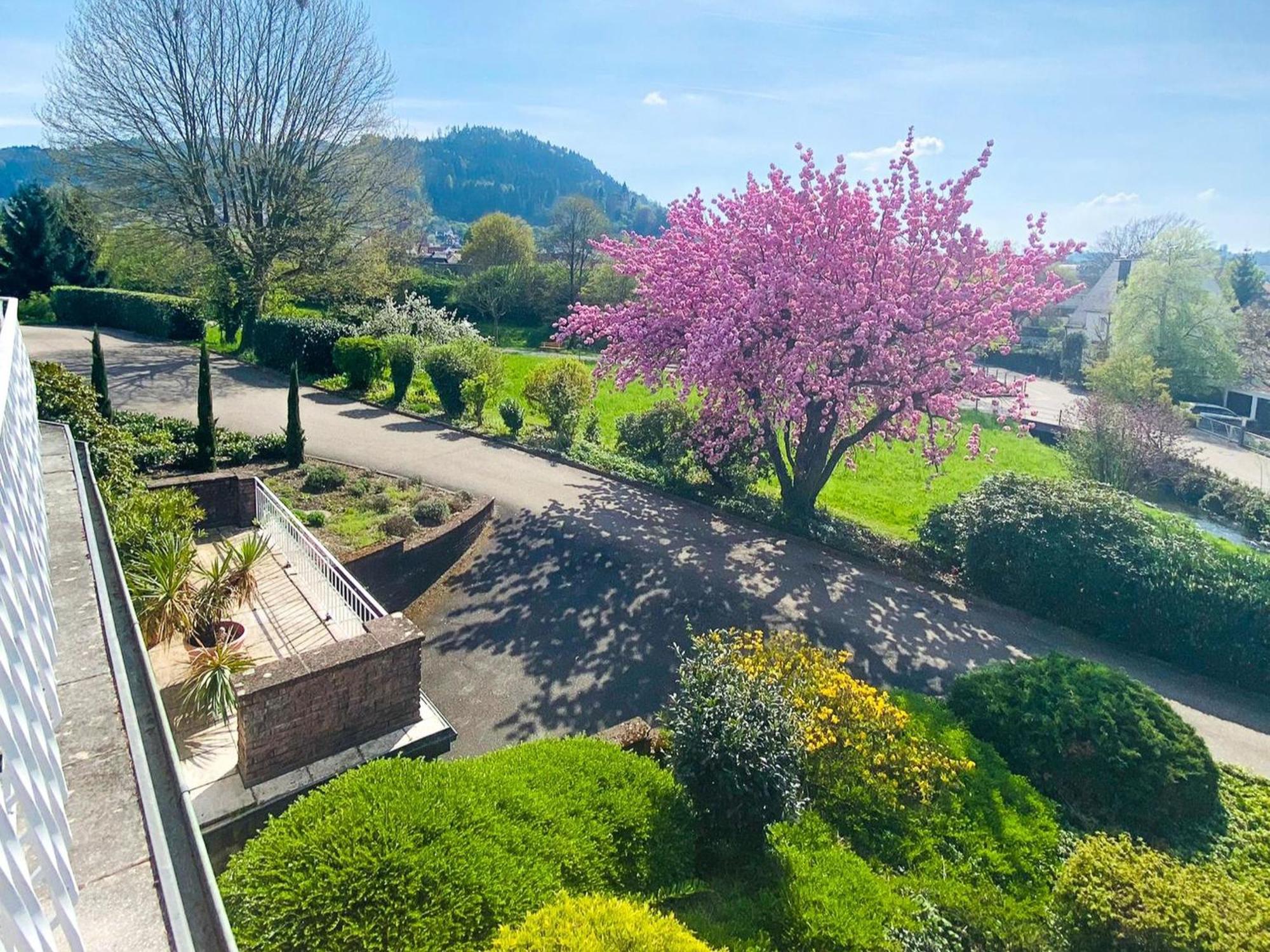 Ferienwohnung Ferien Am Weinberg Kappelrodeck Exterior foto